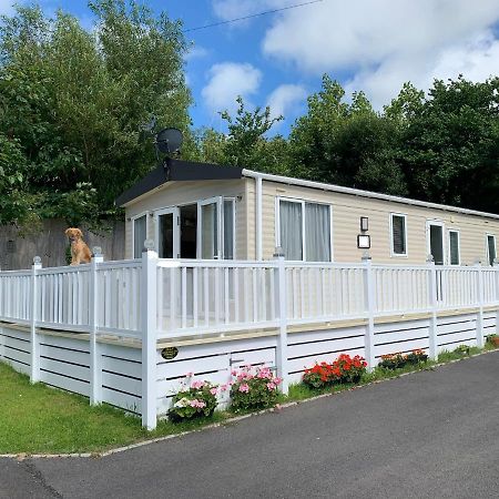 Mollys Retreat Pet Friendly Three Bed Caravan With Small Garden Newquay Bay Resort Quieter Area Of Park Buitenkant foto