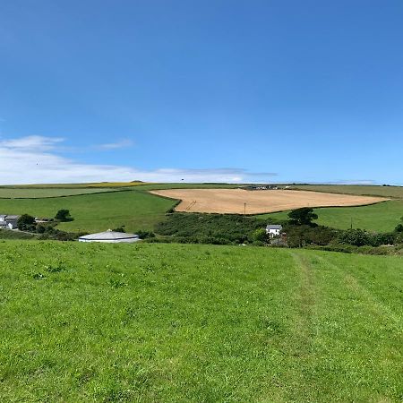 Mollys Retreat Pet Friendly Three Bed Caravan With Small Garden Newquay Bay Resort Quieter Area Of Park Buitenkant foto