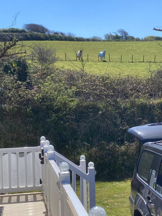 Mollys Retreat Pet Friendly Three Bed Caravan With Small Garden Newquay Bay Resort Quieter Area Of Park Buitenkant foto